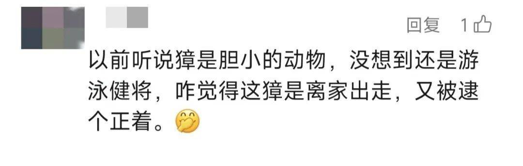 上海惊现"越狱者"！从浦东游20公里到崇明，身份查清让网友惊掉下巴