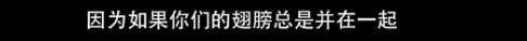 他们那么幸福恩爱，怎么突然离婚了……