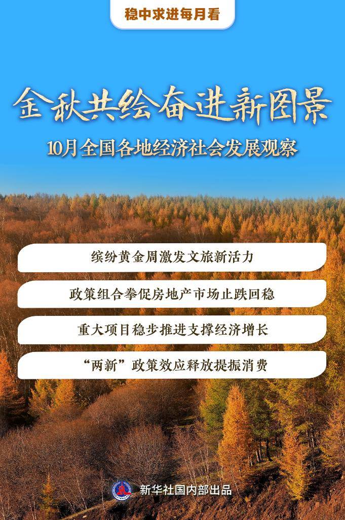 稳中求进每月看丨金秋共绘奋进新图景——10月全国各地经济社会发展观察