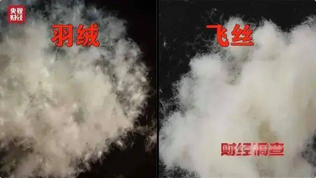 羽绒服爆大雷！3000多元买的羽绒服拆开全是飞丝！许多网友剪开了自己的衣服……