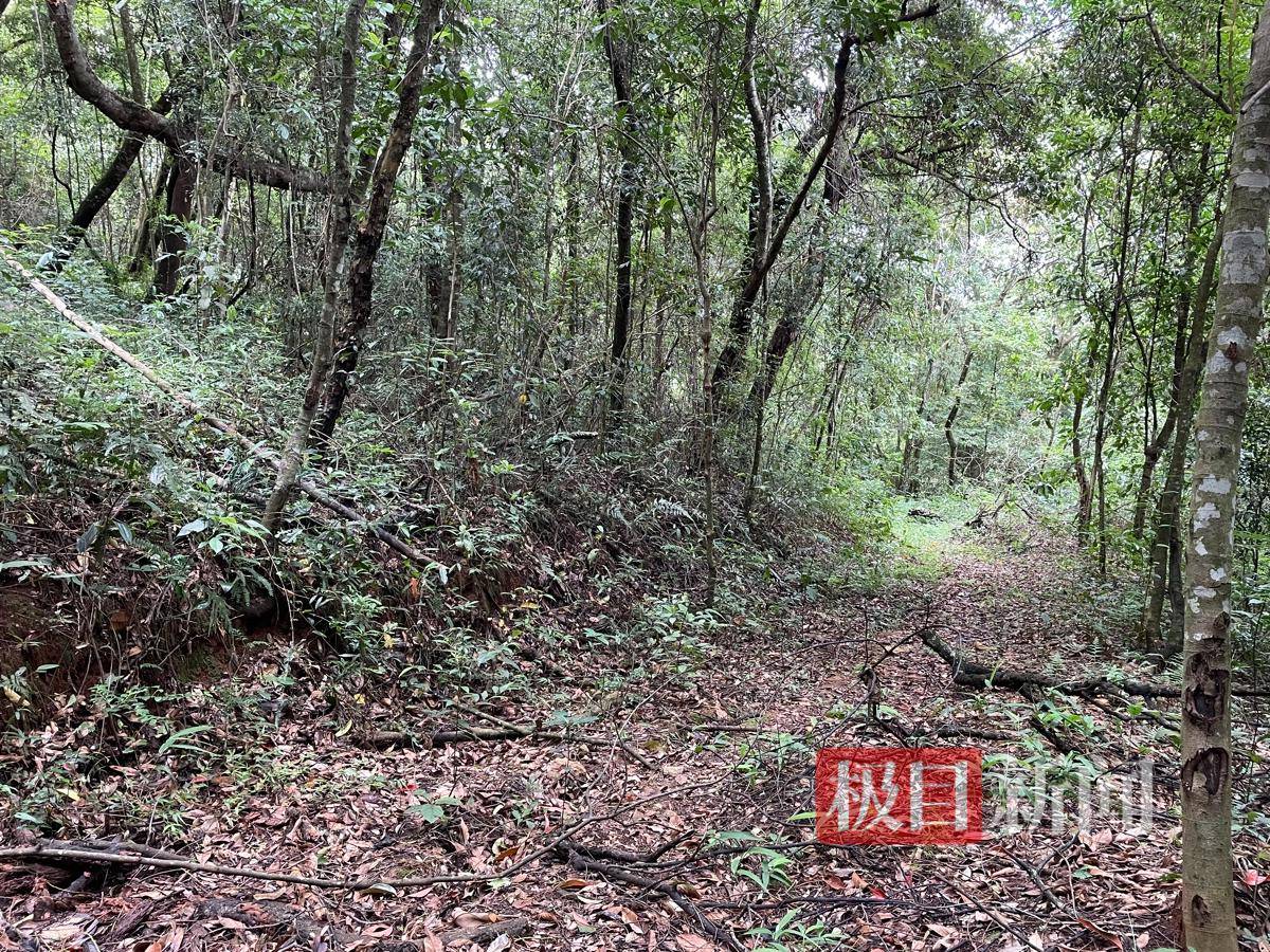 失孤:南京女大学生被害6年后,一位父亲的战斗与和解