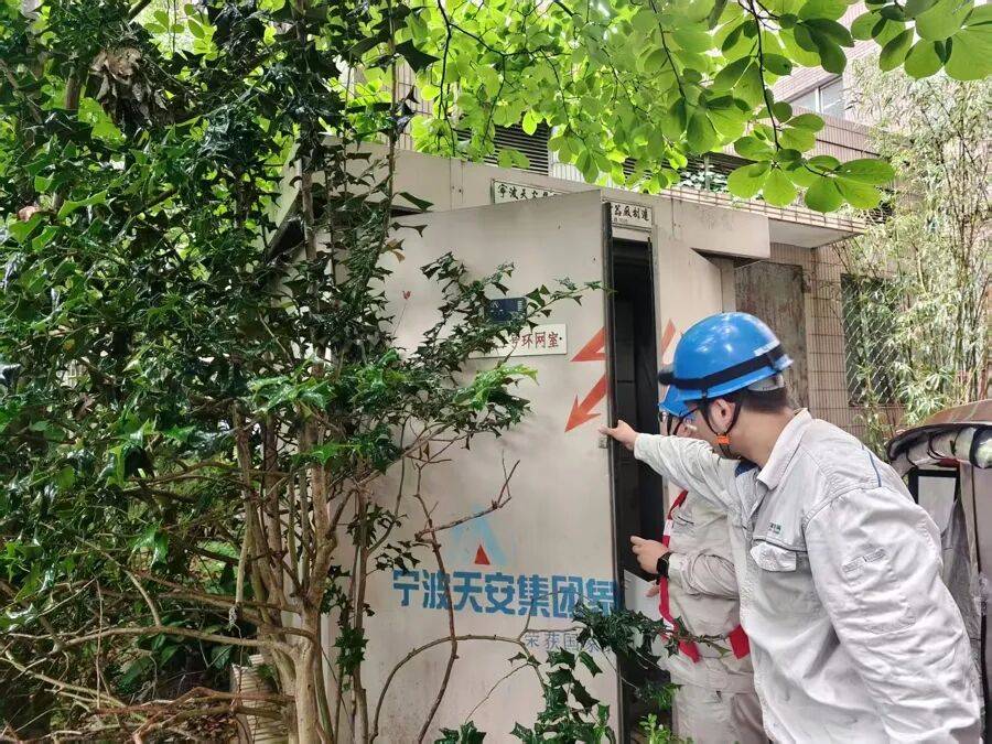 上海市中心突发!大风大雨,一棵10米高的老槐树,压在1万伏高压线上,旁边就是敬老院
