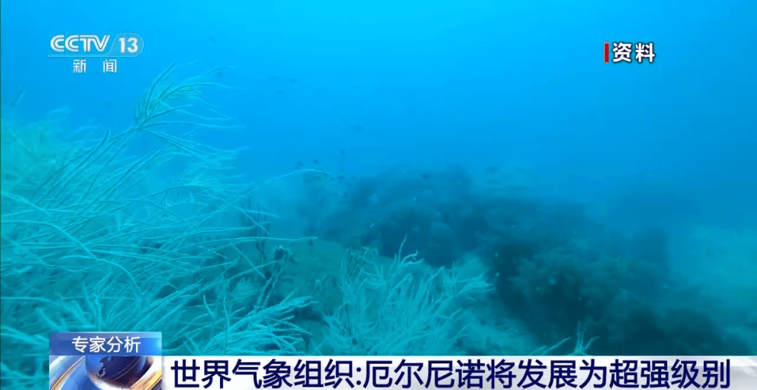 英国政府要求民众提前存粮存水，呼吁家家户户储备罐头食品