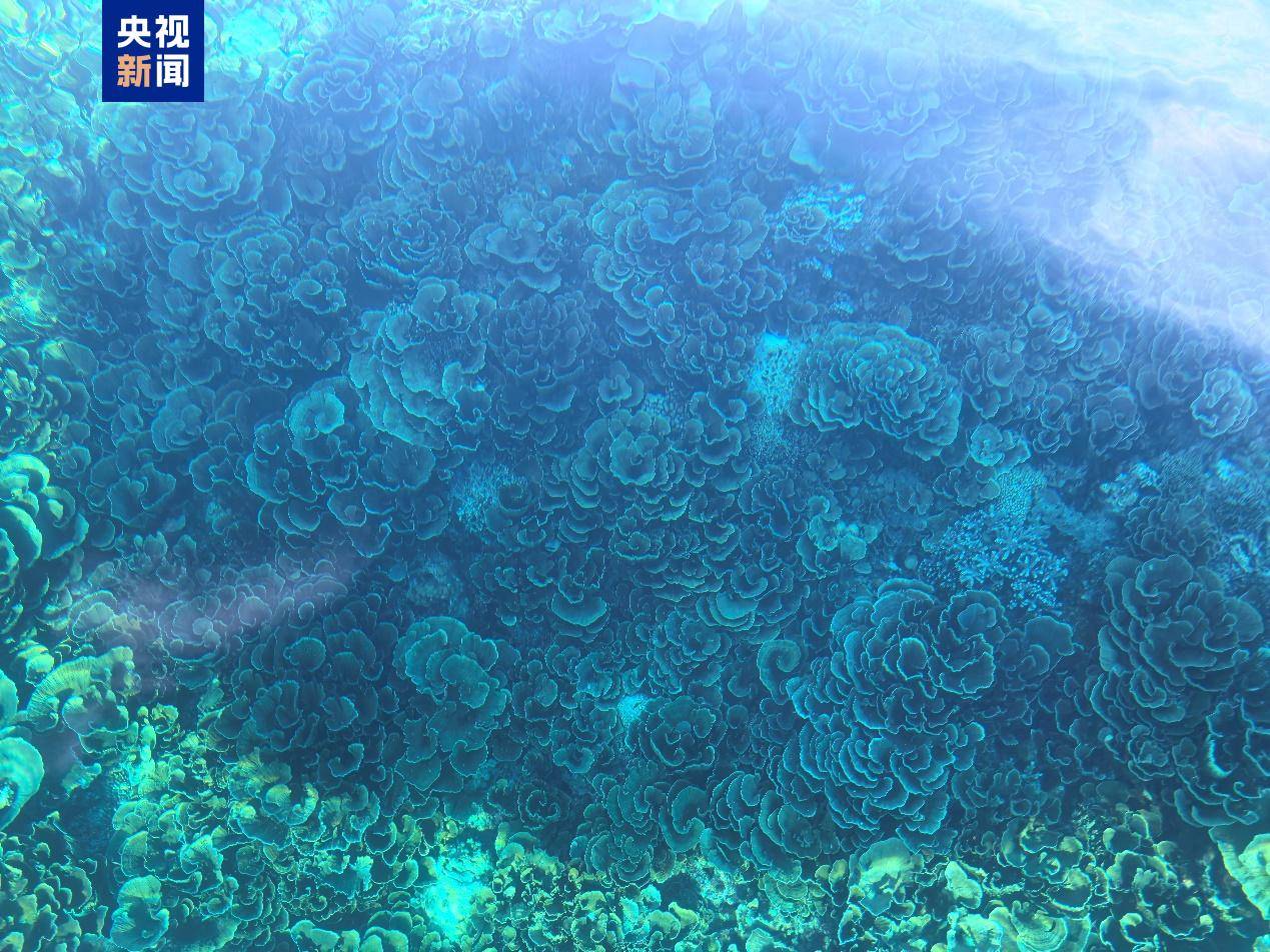 菲律宾非法“坐滩”船只周边海域出现大量垃圾,中国海警组织打捞
