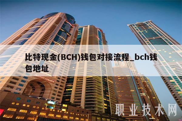 BCH交易所(bchc交易所)