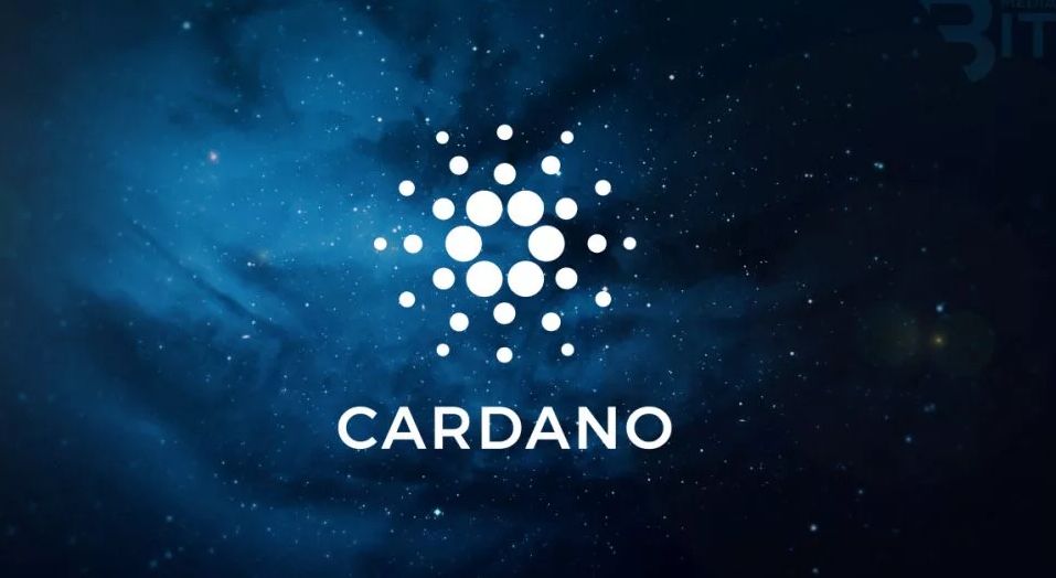 包含ADA-艾达币交易app的词条