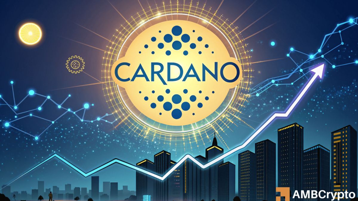 艾达币交易所(艾达币交易所交易量激增)